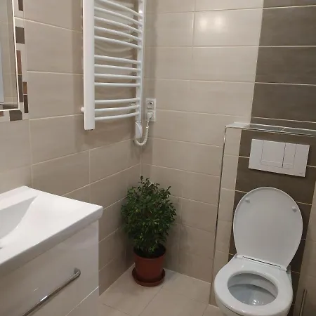 Apartman Tereza Kraslice Exterior photo