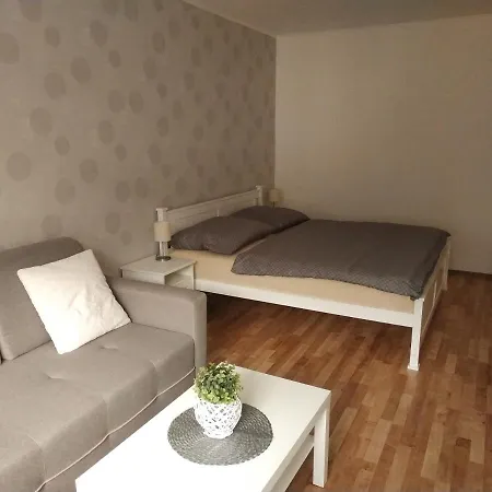 Apartman Tereza Kraslice Exterior photo