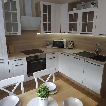 Apartman Tereza Kraslice Exterior photo